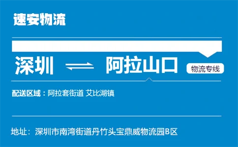 优质深圳到阿拉山口物流专线