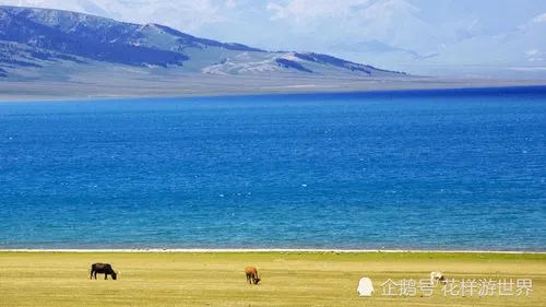 深圳到阿拉山口物流专线_深圳至阿拉山口物流公司