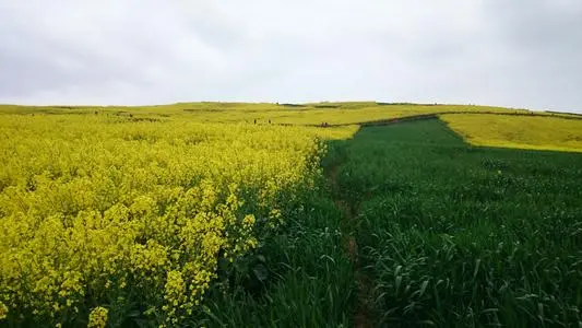 深圳到汉中物流专线_深圳至汉中物流公司