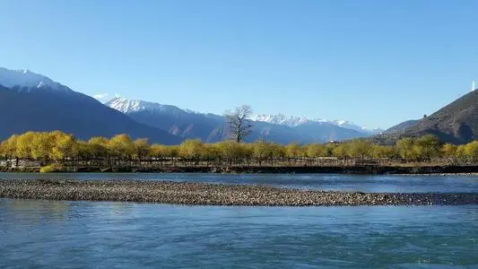 深圳到林芝物流专线_深圳至林芝物流公司