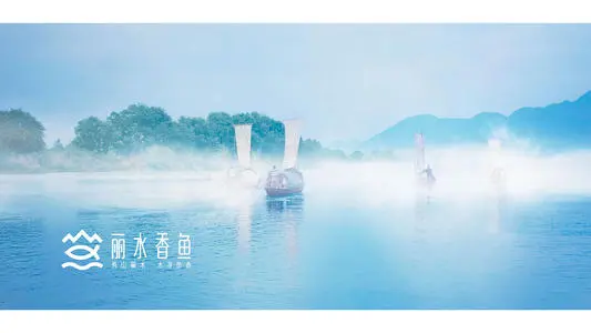 深圳到丽水物流专线_深圳至丽水物流公司