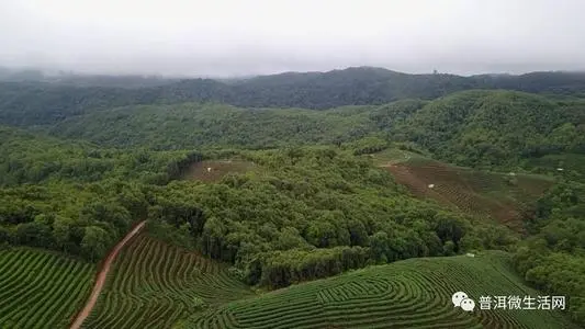 深圳到普洱物流专线_深圳至普洱物流公司