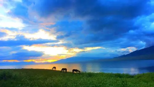 深圳到青海物流专线_深圳至青海物流公司